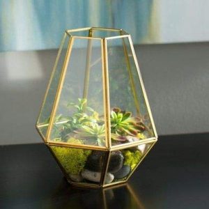 Glass Flower VaseÂ