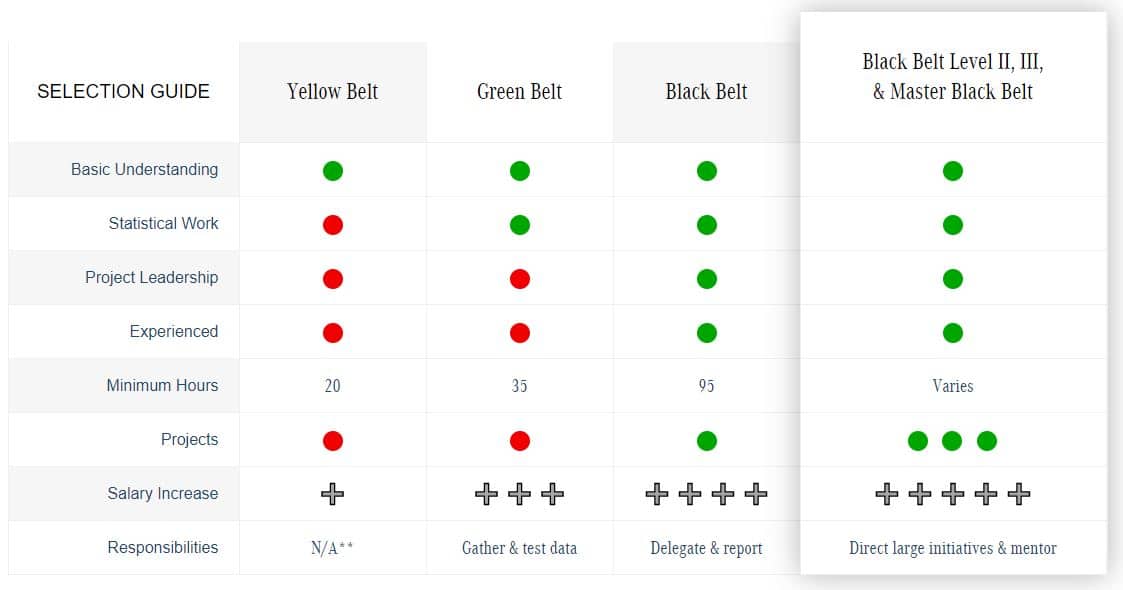 What lean six sigma Belt Do I Need