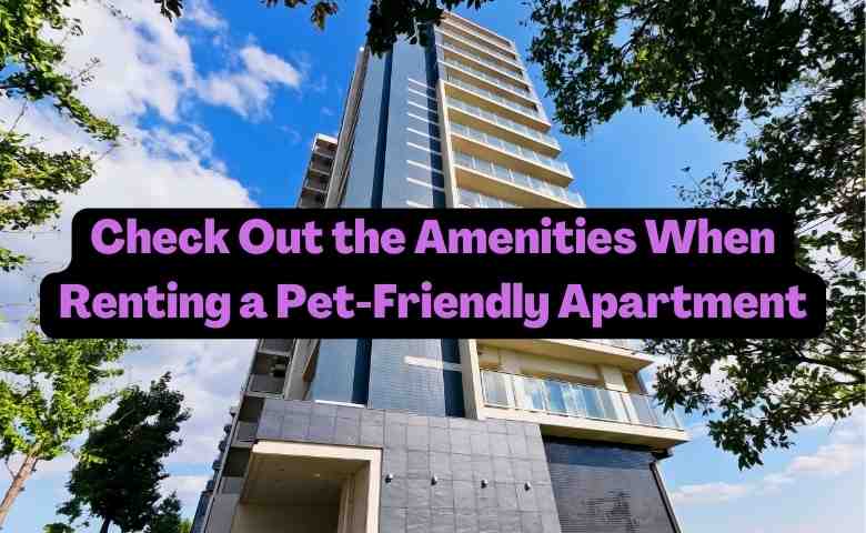 Pet Friendly Apts Near Me, Find Your Home