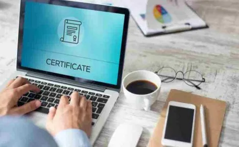 Which Microsoft Certification Should You Choose MS-900, AZ-104, or MD-100