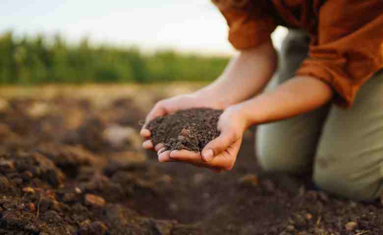 A colorful guide to understanding Adelaide’s regional soil diversity.
