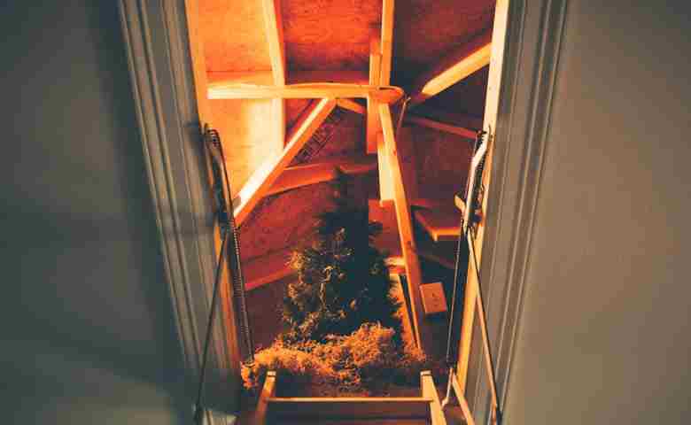 Properly insulated attic with eco-friendly materials, showcasing effective insulation.