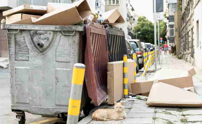 Ensure Proper Cleanup