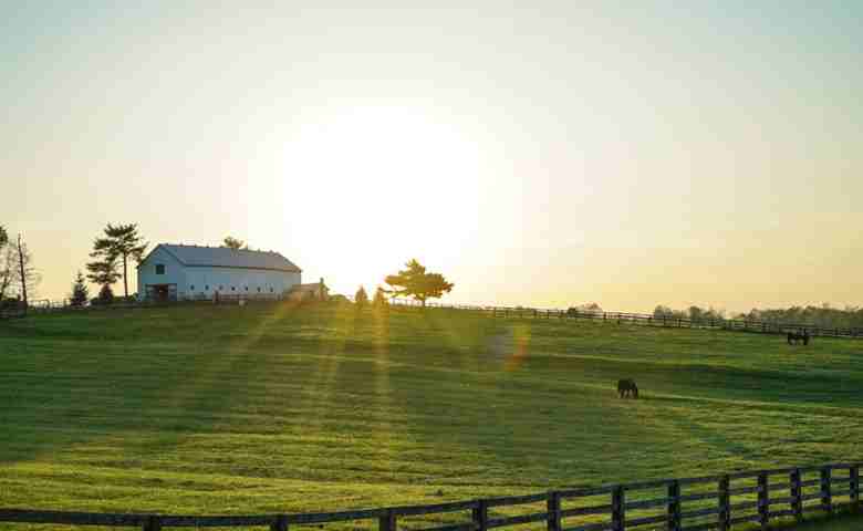 A Versatile and Cost-Effective Building Solution Introducing Pole Barns