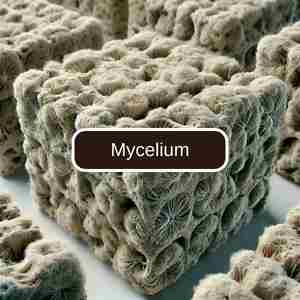 Mycelium bio-based materials