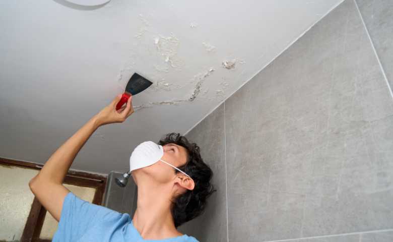 The Importance of Mould Testing Why Nanotise Mould Removal Experts Are a Game-Changer