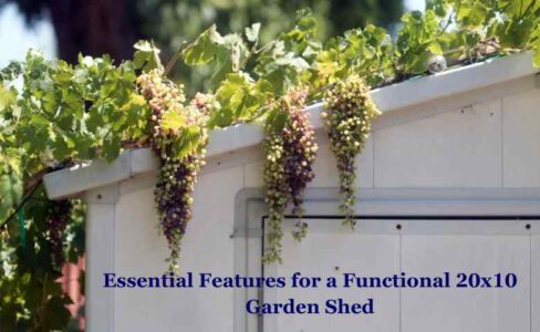 Essential Features for a Functional 20x10 Garden Shed