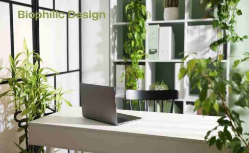 Biophilic design elements in modern commercial office architecture